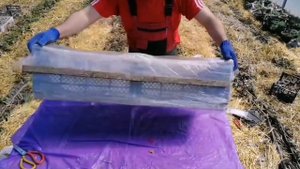 Простейший Парничок Для Размножения Туи За Копейки Своими Руками.