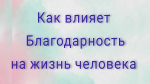 Как благодарность влияет на жизнь человека