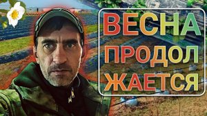 Весна продолжается