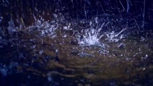 Фёдор Тютчев: Весенняя гроза [читает Алексей Вертинский]