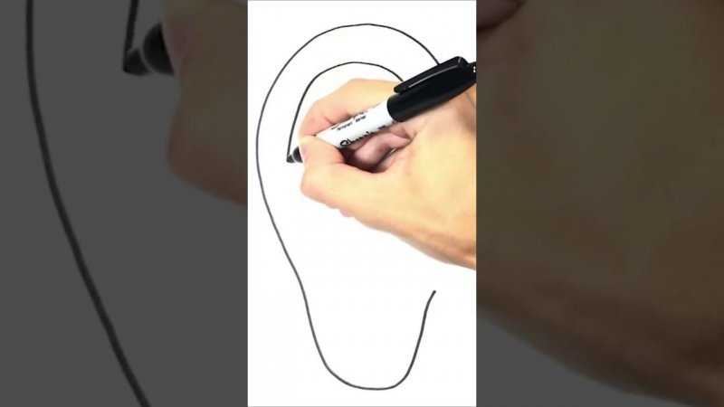 Как нарисовать ухо пошагово | How to draw an Ear Step by Step