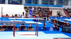 Спортивная гимнастика.ЧР.Олимпийские чемпионы