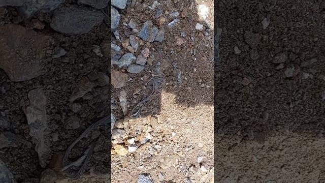ПОИСК МЕТАЛЛОЛОМА НА СВАЛКЕ СССР В СЕЛЕ. ГДЕ НАЙТИ МЕДЬ? ПОИСК МЕТАЛЛОЛОМА БЕЗ МЕТАЛЛОИСКАТЕЛЯ!