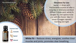 Terrific doTERRA White Fir Essential Oil Uses