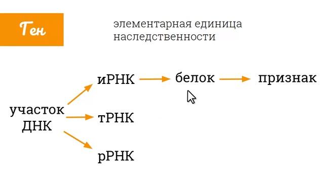 Что такое гены смотреть онлайн