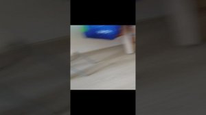 Реакция кота на Аципол