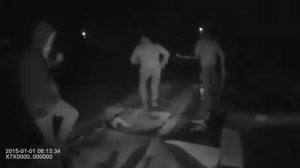 Борьба с рыгами в Черкассах