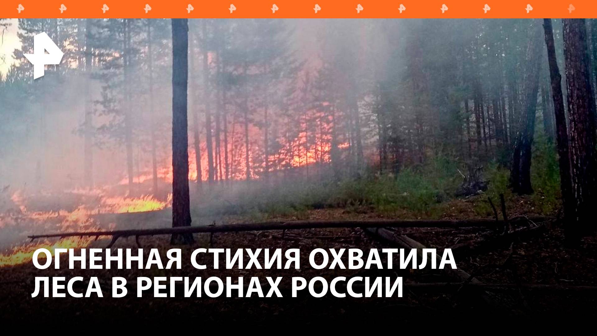 Лесные пожары охватили четыре региона России: с пламенем сражается МЧС / РЕН Новости