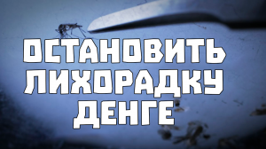 Обратить вспять Самую Быстро Распространяющуюся Болезнь в Мире | Научпоп