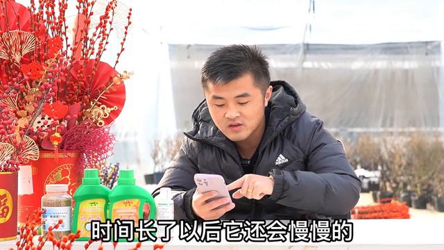 【每日一答】花土结块是因为浇水吗？彩叶芋还能活吗？Q&A Everyday: Why does soil harden? Is my Caladium alive? смотреть онлайн