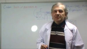 Энзимотерапия  (А.Н. Алименко)