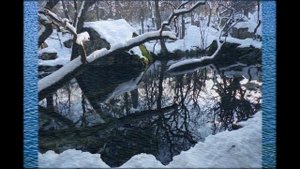 ВСТАВАЙ СКОРЕЙ ПРИШЛА ЗИМА(ЛЕБЕДИ)