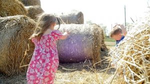 Kids Farm | Веселые коровы. Дети играют с коровами на ферме. Домашние животные. Игра супер корова