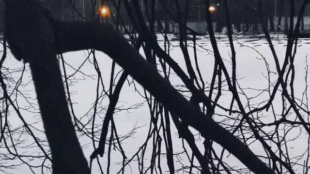 VID 20230120 164651 Чей здравый смысл угас...(Агриппа Д Обинье)...Павел Васильев Лахтинский смотреть онлайн