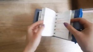 чем заполнить ежедневник? Ежедневники на кольцах. Формат Personal & Pocket