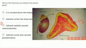 nta abhyas app solution biology test 72 |Q1-20| NEET