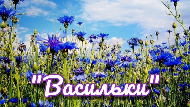 Песня ВАСИЛЬКИ | минус (-) | Елизавета Головизнина