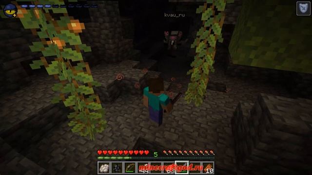 Хиробрин достиг акустикофобии в МОДе Безумие #майнкрафт #minecraft #minecraftgod смотреть онлайн