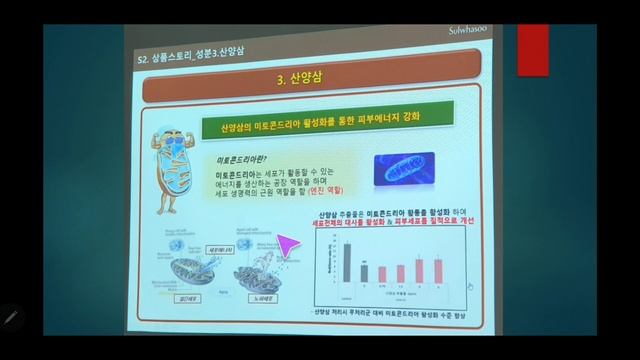 СУЛЬВАСУ ЧИНСОЛЬ СЫВОРОТКА/КРЕМ смотреть онлайн