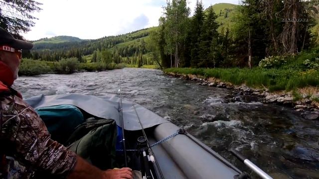 Рыбалка на Алтае/Вот это я понимаю ЖОР хариуса/Три шедевральных блюда из рыбы/ Готовим на костре #3 смотреть онлайн