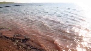 Рыбалка на заливе Сарагаш. Июль 2021г.