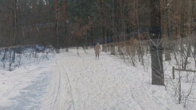 Трасса здоровья. Барнаул. "Зима на Алтае"