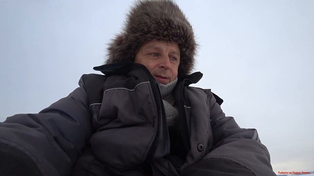 Берш на новогодний стол смотреть онлайн