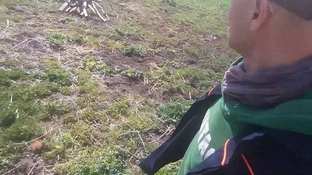 Борщевик опрыскивать глифосатом! Я применяю Торнадо 540, только гербициды могут спасти от Борщ-ужас смотреть онлайн