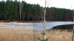 Состояние озера и мусорный челлендж