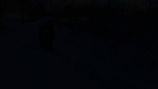 День эколога. Часть первая. "Экотехнопарки" смотреть онлайн