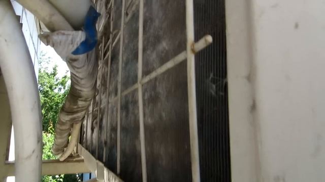 Тополиный пух, или от чего погибает компрессор кондиционера смотреть онлайн