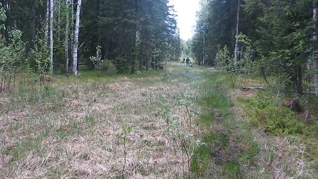 Движение на мотобуксировщике летом - 10 (май 2010) смотреть онлайн