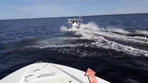 Афалина 460 с мотором хонда 50