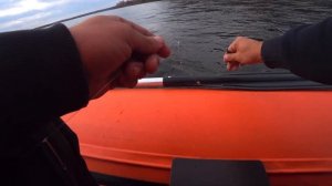 Рыбалка на хариуса| Рыбалка в Красноярске на Енисее| Ловля хариуса на тирольскую палочку