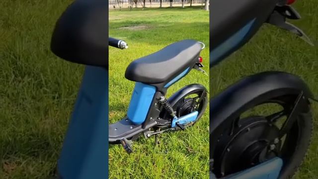 350W/500W Electric bike with pedals,48V removable battery