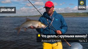 Что делать с крупными минноу? Алексей Шанин Часть 2.