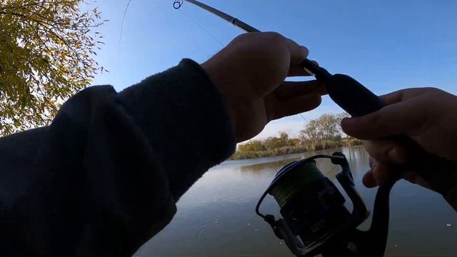 Ловля на фидер в октябре на реке Самара. Фидерная рыбалка осенью. Ловля карася,подлещика и карпа. смотреть онлайн