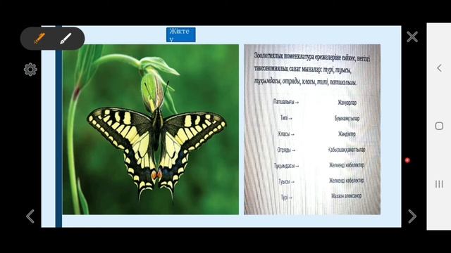 6 сынып.Өсімдік немесе жануар түрлерін қалай анықтауға болады? смотреть онлайн