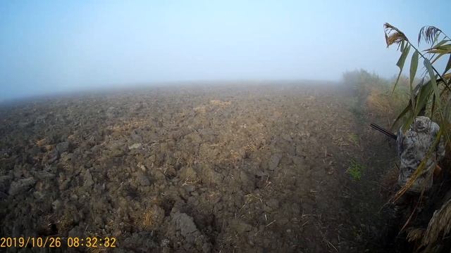 Охота в рисовых чеках,Краснодарский край . Как оно есть .