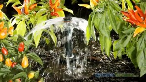 PCN-10 Hunter PC Umbrella Bubbler