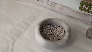 Первая линька наших птенцов