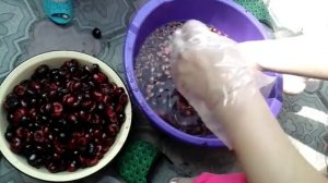 Как избавится от червей из черешни