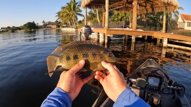 I Drove 800 Miles To Catch These Fish | Florida Fishing | Lake Ida смотреть онлайн