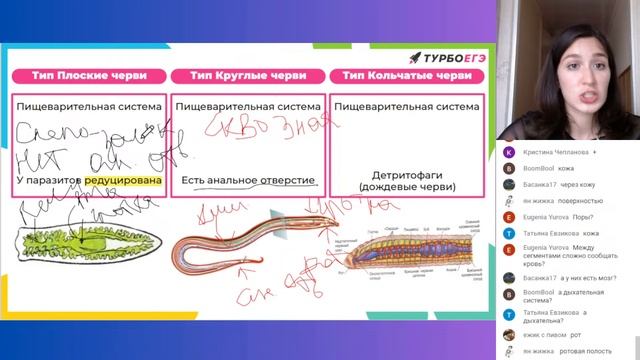 Плоские, круглые и кольчатые черви | Летняя школа