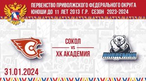 31.01.2024. ПРЯМОЙ ЭФИР. Первенство ПФО. ХК "Сокол-2013" (Нов-рск) - ХК "Академия" (Усть-Кинельский)