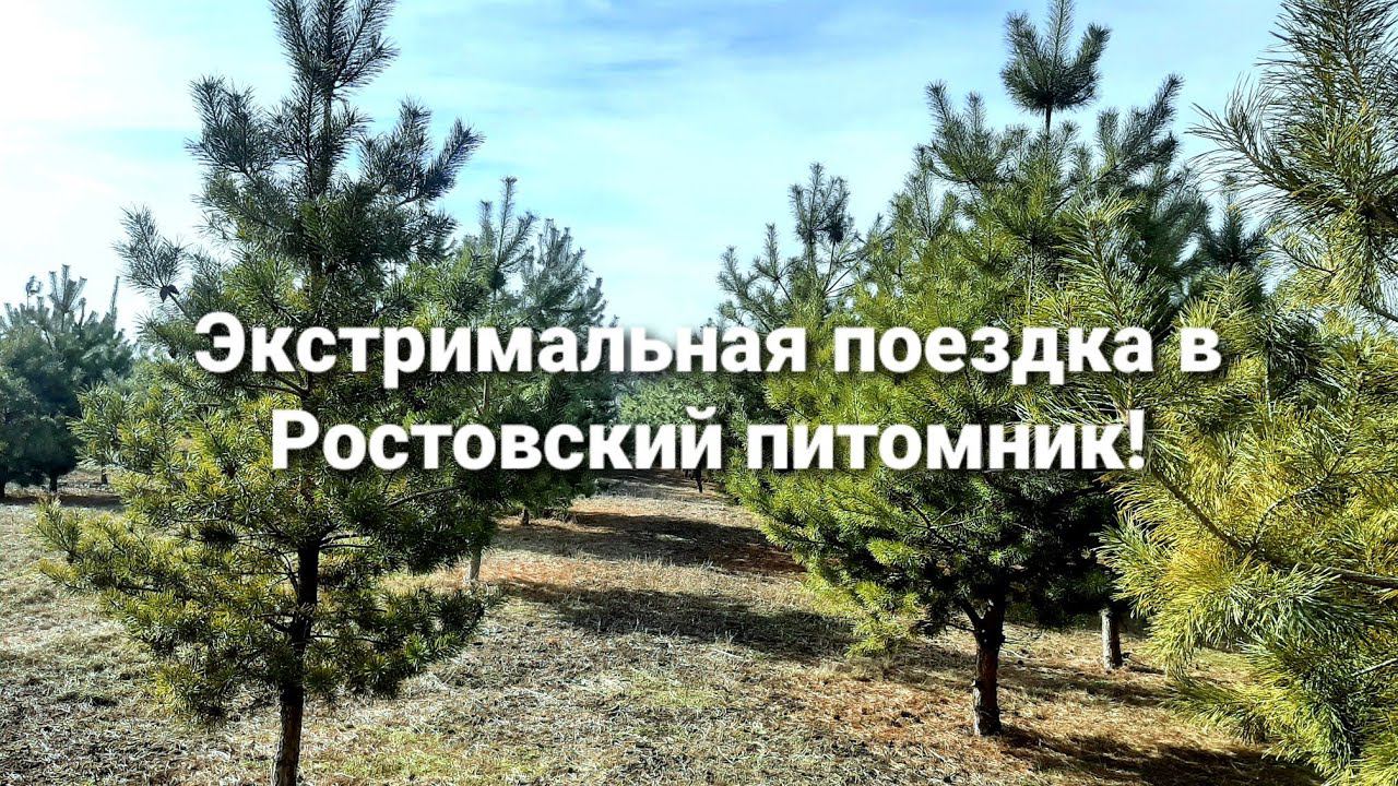 Экстримальная поездка в Ростовский питомник!