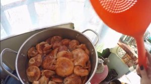 Рецепт соления грибов рыжиков.