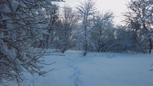Пришла зима или в поисках деда мороза