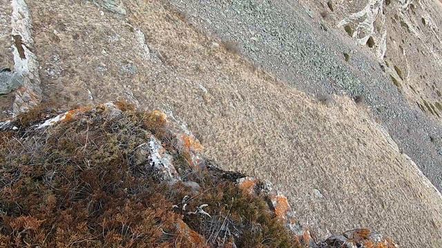 КАБАРДИНО-БАЛКАРИЯ. ЗАГОРЕЛ В НОЯБРЕ #кавказ #чегемскоеущелье #кабардинобалкария #путешествия #похо