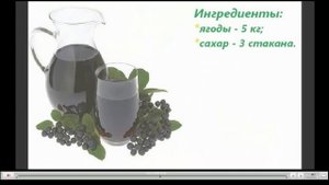 Черноплодная рябина - Свойства Рецепты Противопоказания